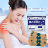( 2 packet 14 pcs) Japanese Back Pain Relief Patches